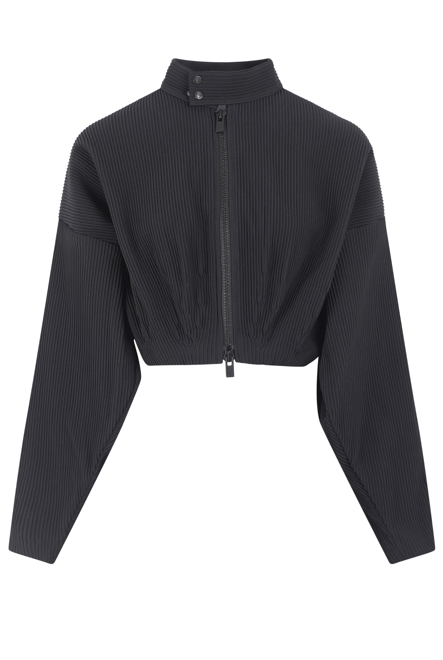 Hypha Stand-up Collar Cropped Bomber Jacket